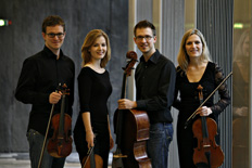 bildArtist photo of Gémeaux Quartett - Streichquartett