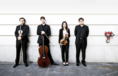 bildArtist photo of Mariani Klavierquartett