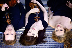 bildArtist photo of Trio Enescu