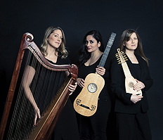 bildArtist photo of sixty1strings