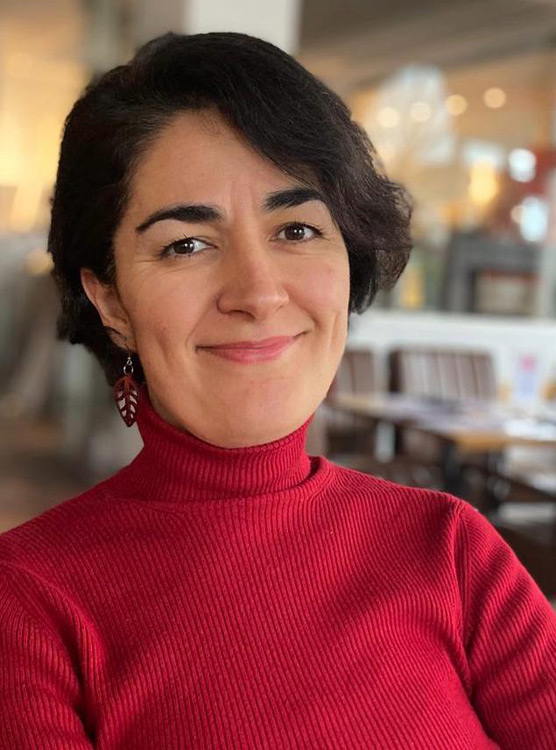 bildArtist photo of Pluhar, Gül - Viola