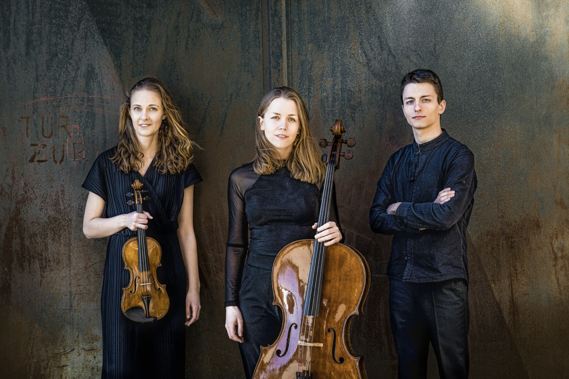 bildArtist photo of Amelio Trio - Klaviertrio